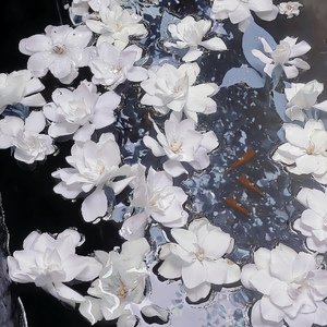 操逼搓美女衣服
